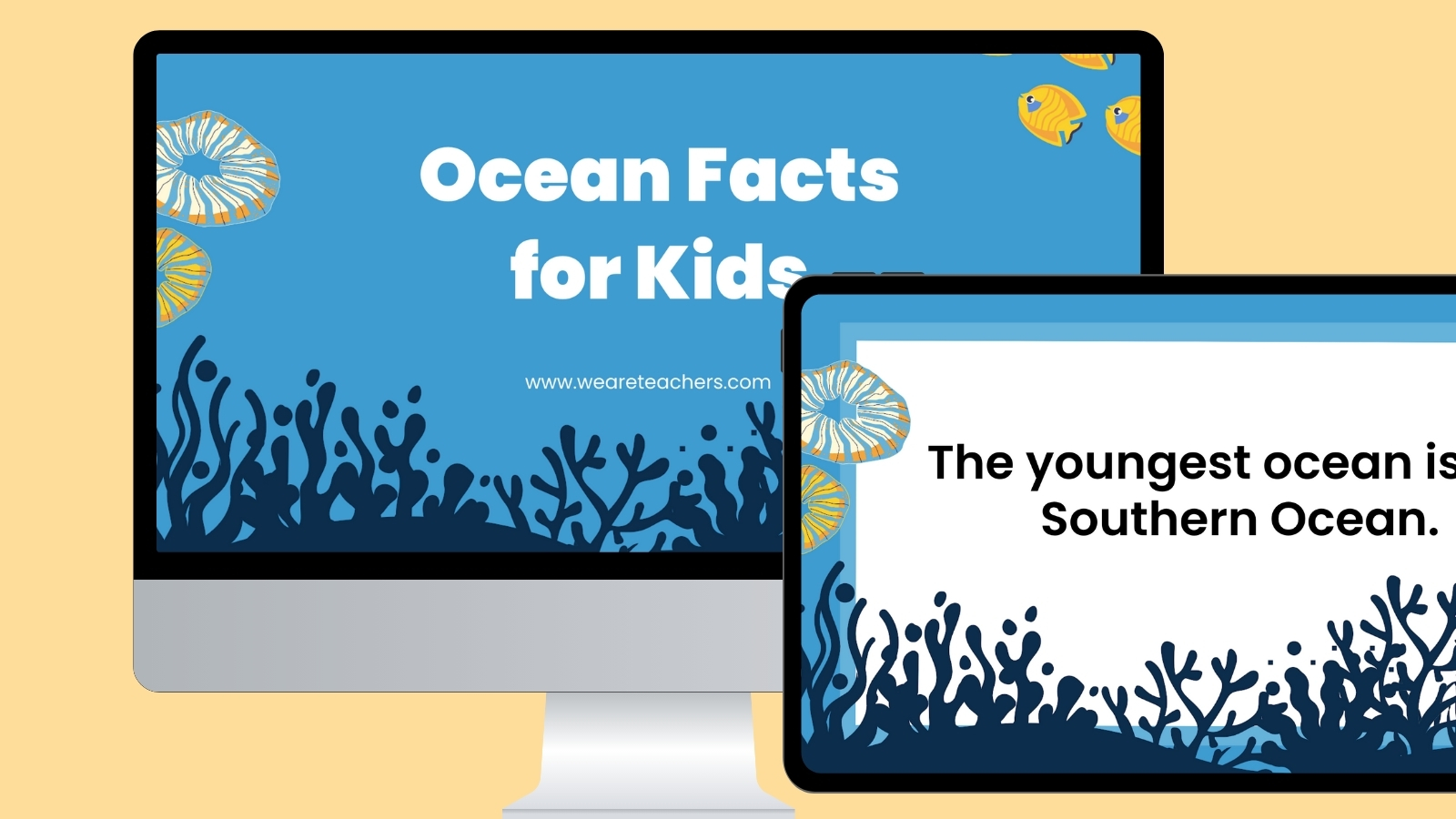 53 Ocean Facts That Will Amaze You