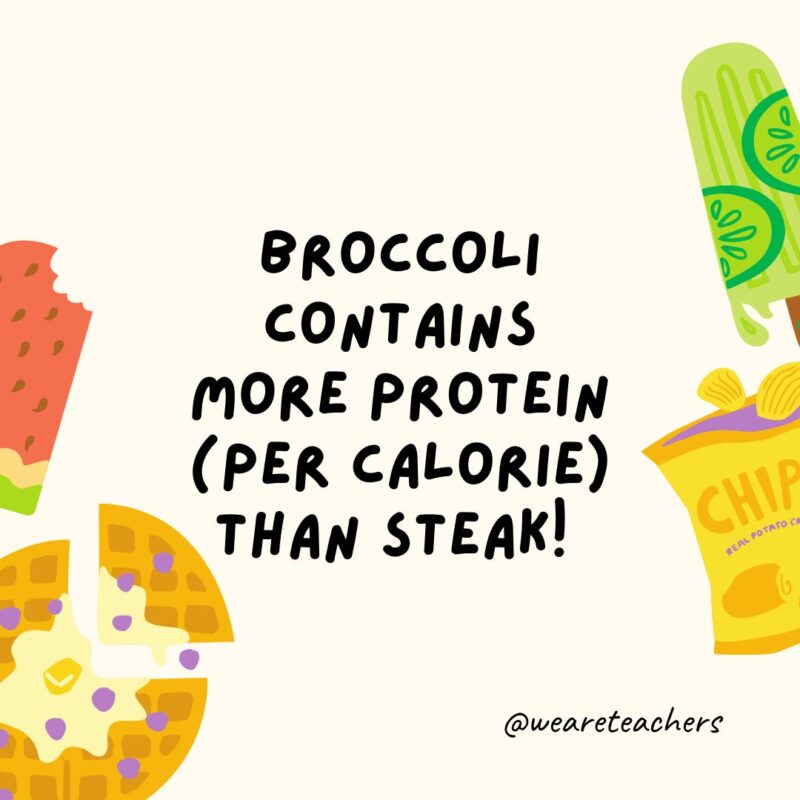 Fun food facts - Broccoli contains more protein than steak!