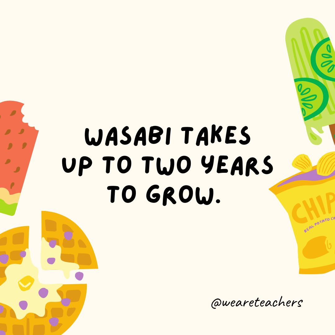 Wasabi takes up to two years to grow.