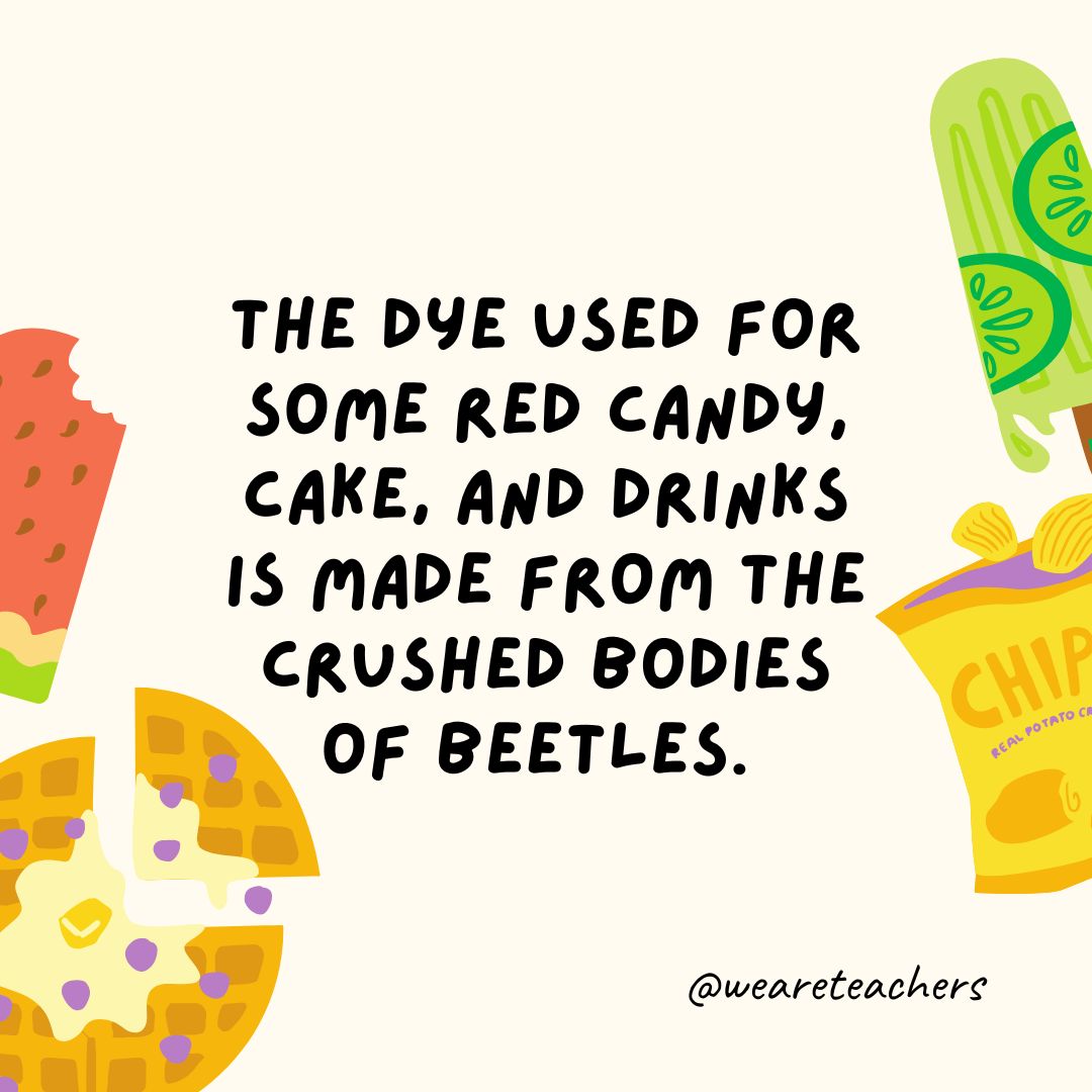 The dye used for some red candy, cake, and drinks is made from the crushed bodies of beetles.