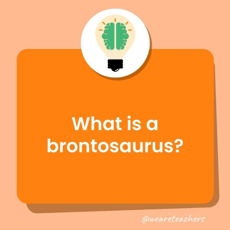 What is a brontosaurus?