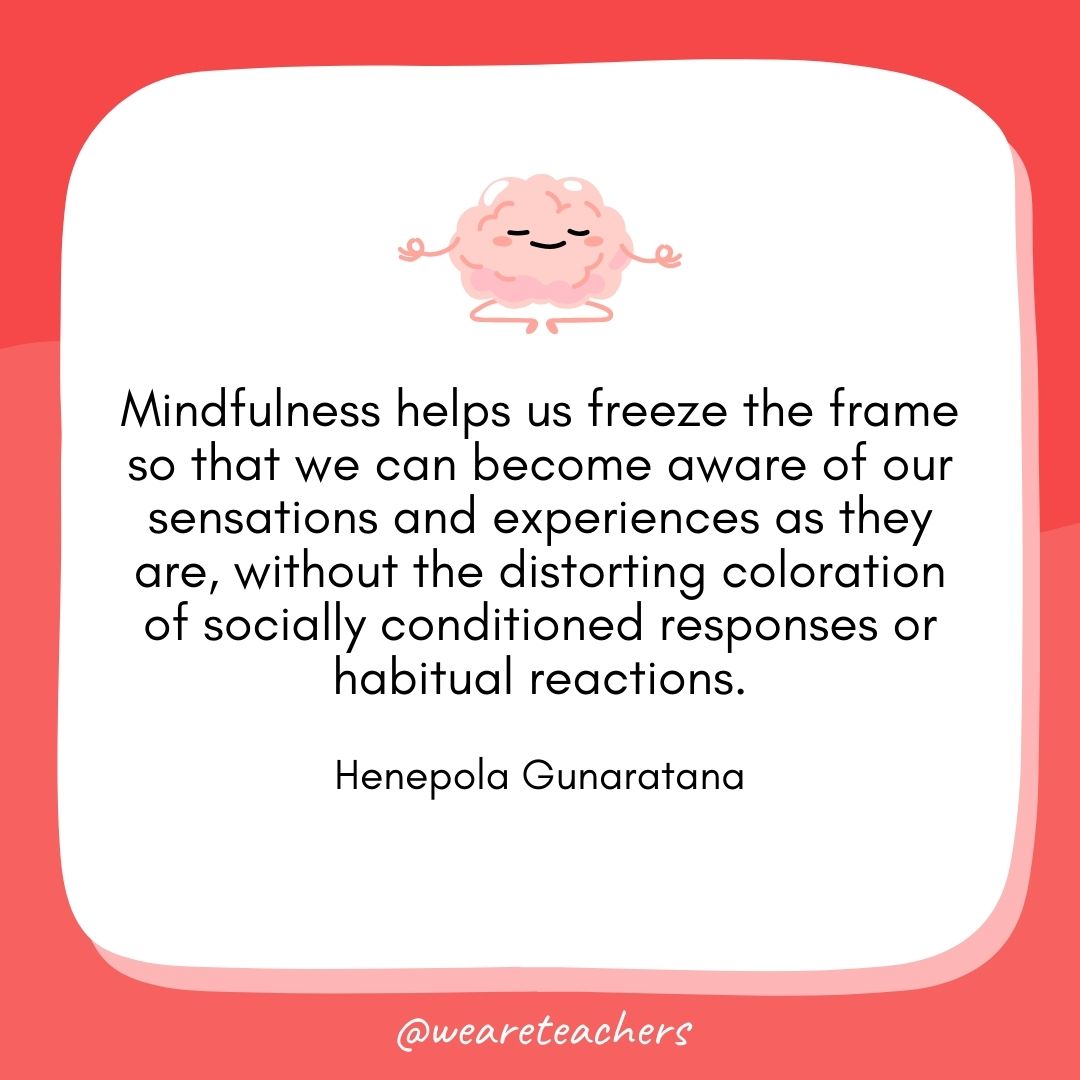 Mindfulness helps us freeze the frame so that we can become aware of our sensations and experiences as they are, without the distorting coloration of socially conditioned responses or habitual reactions. 