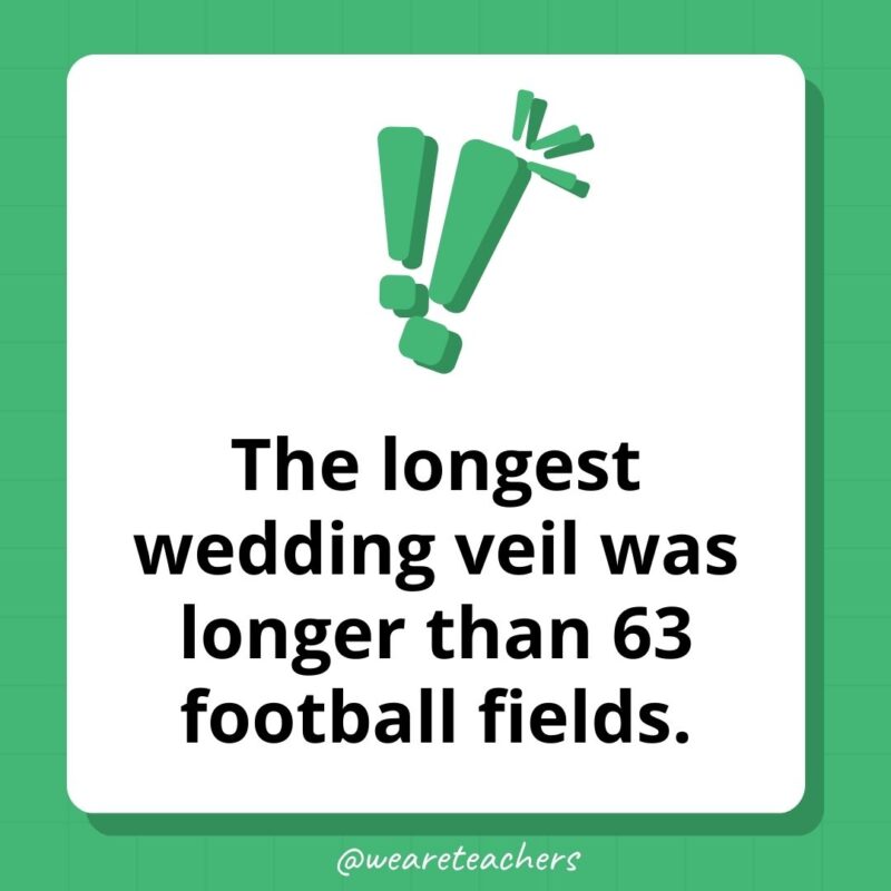 The longest wedding veil was longer than 63 football fields.