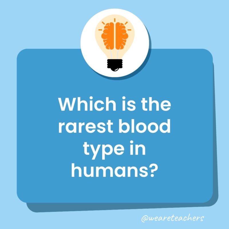 Trivia questions for kids: Which is the rarest blood type in humans?