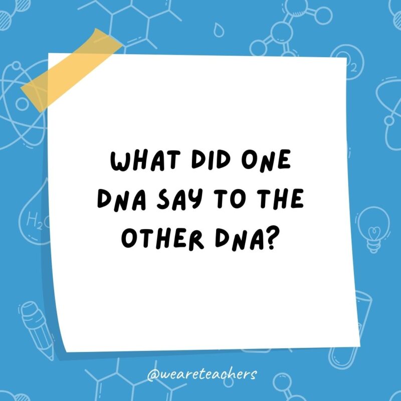 What did one DNA say to the other DNA?