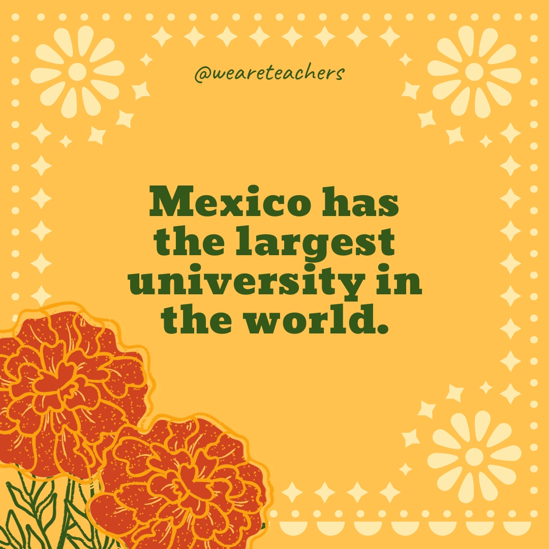 45-fascinating-facts-about-mexico