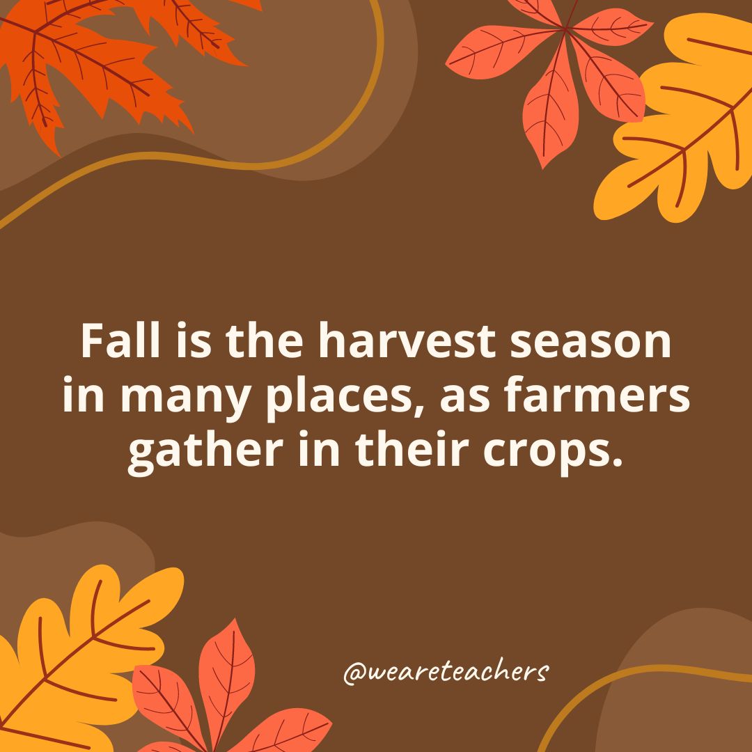 Fall is the harvest season in many places, as farmers gather in their crops.