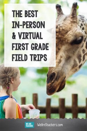 The Best In-Person and Virtual Field Trips for First Graders