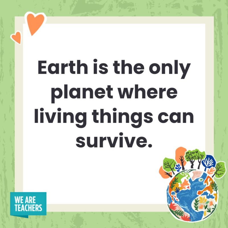 The Earth is the only planet to survive.