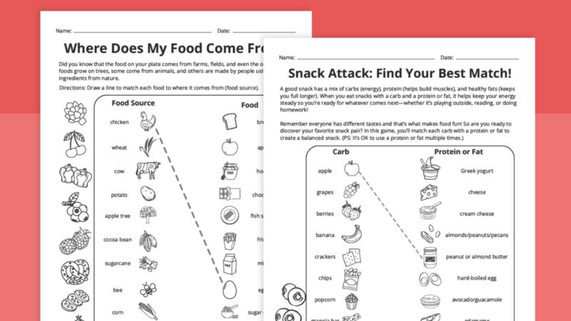 Snack Attack Worksheet