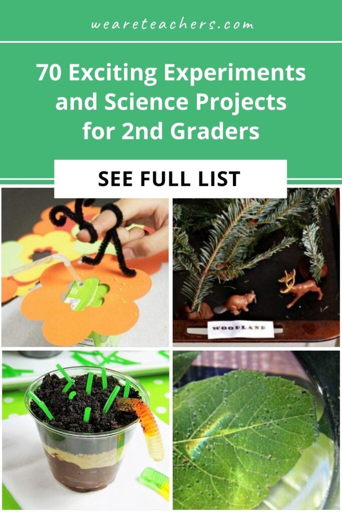 These science projects for 2nd graders include making foaming rainbows, tie-dye slime, crystal pom-poms, and so much more! Have fun learning!