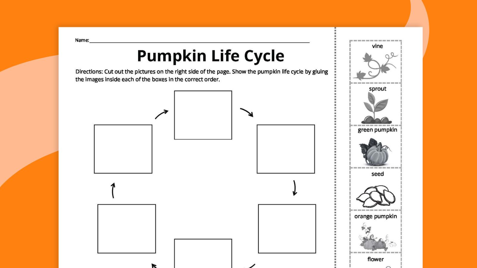 Pumpkin Life Cycle Sequencing Activity