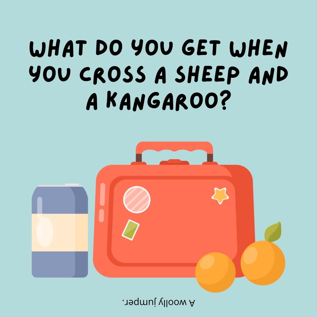 What do you get when you cross a sheep and a kangaroo?

A woolly jumper.- lunch box jokes