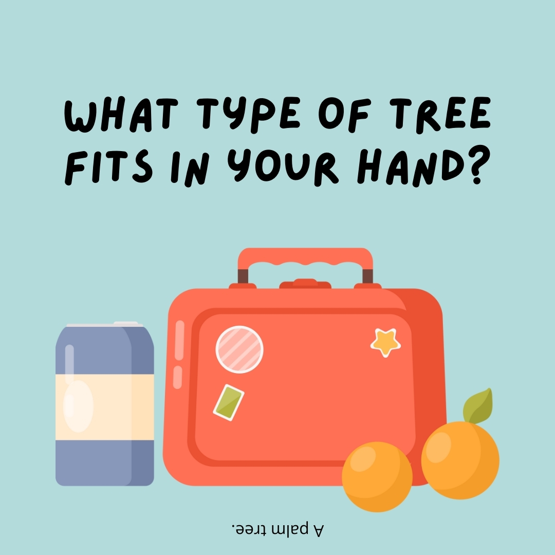 What type of tree fits in your hand?

A palm tree.