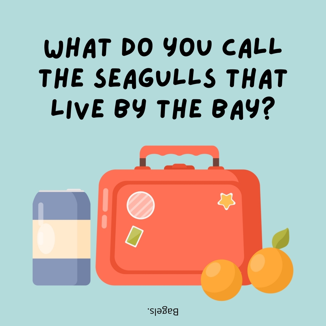 What do you call the seagulls that live by the bay?

Bagels.