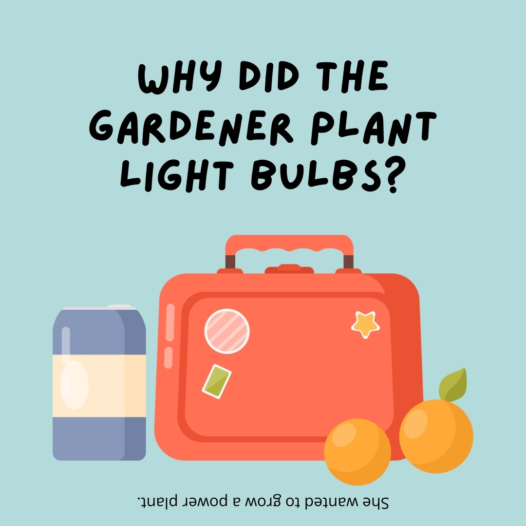 Why did the gardener plant light bulbs?

She wanted to grow a power plant.