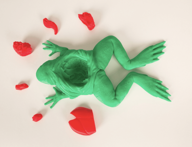 3d printed frog and organs for dissection activity- 3D printing ideas
