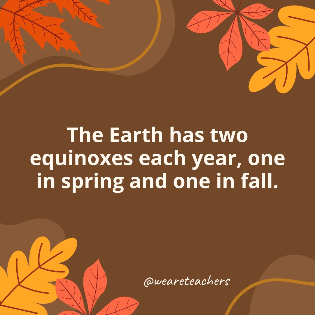 The Earth has two equinoxes each year, one in spring and one in fall.