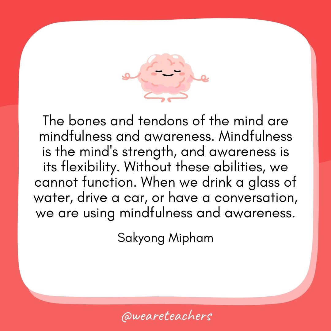 The bones and tendons of the mind are mindfulness and awareness. Mindfulness is the mind's strength, and awareness is its flexibility. Without these abilities, we cannot function. When we drink a glass of water, drive a car, or have a conversation, we are using mindfulness and awareness.