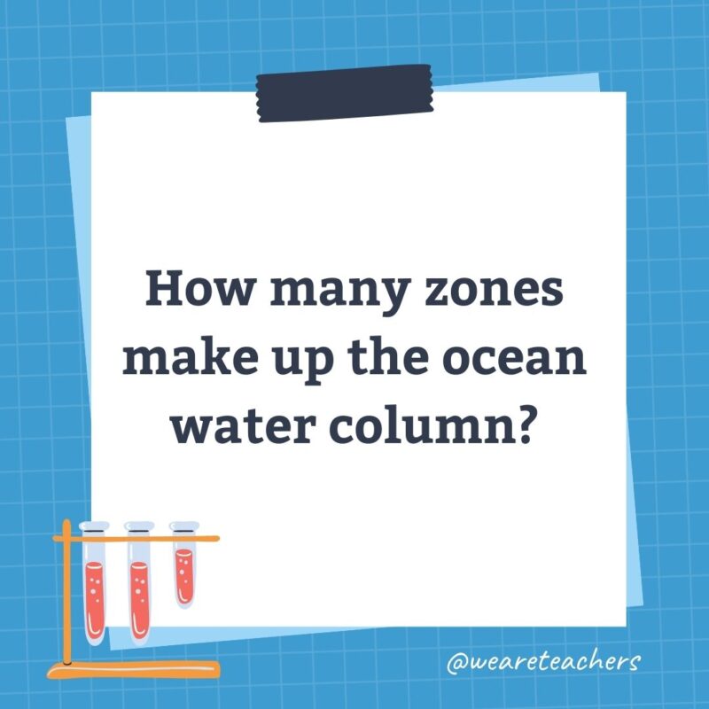 How many zones make up the ocean water column?- science trivia