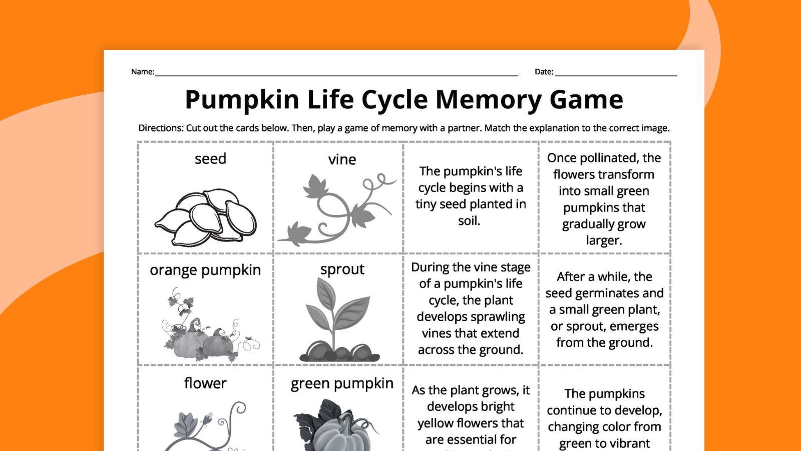 Pumpkin Life Cycle Matching Game