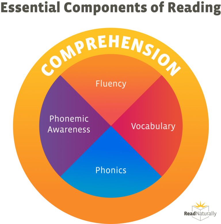 What Is Reading Comprehension?