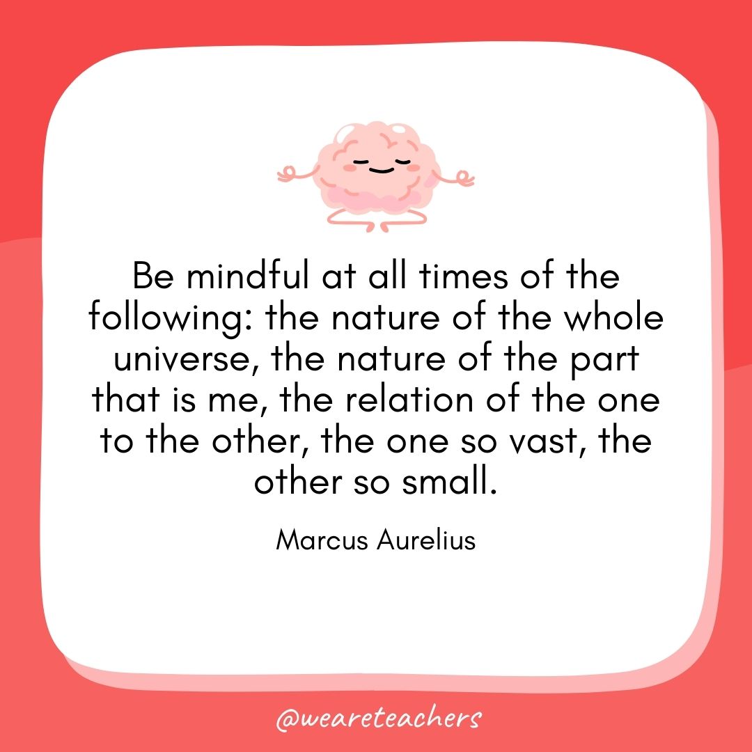 Be mindful at all times of the following: the nature of the whole universe, the nature of the part that is me, the relation of the one to the other, the one so vast, the other so small. 