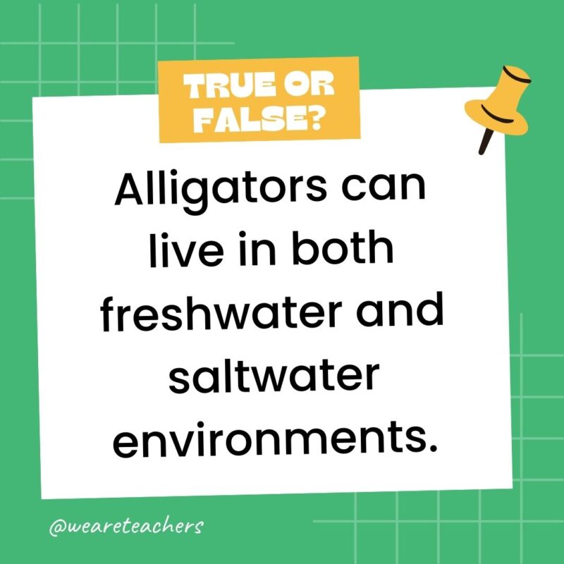 Alligators can live in both freshwater and saltwater environments.- true or false questions