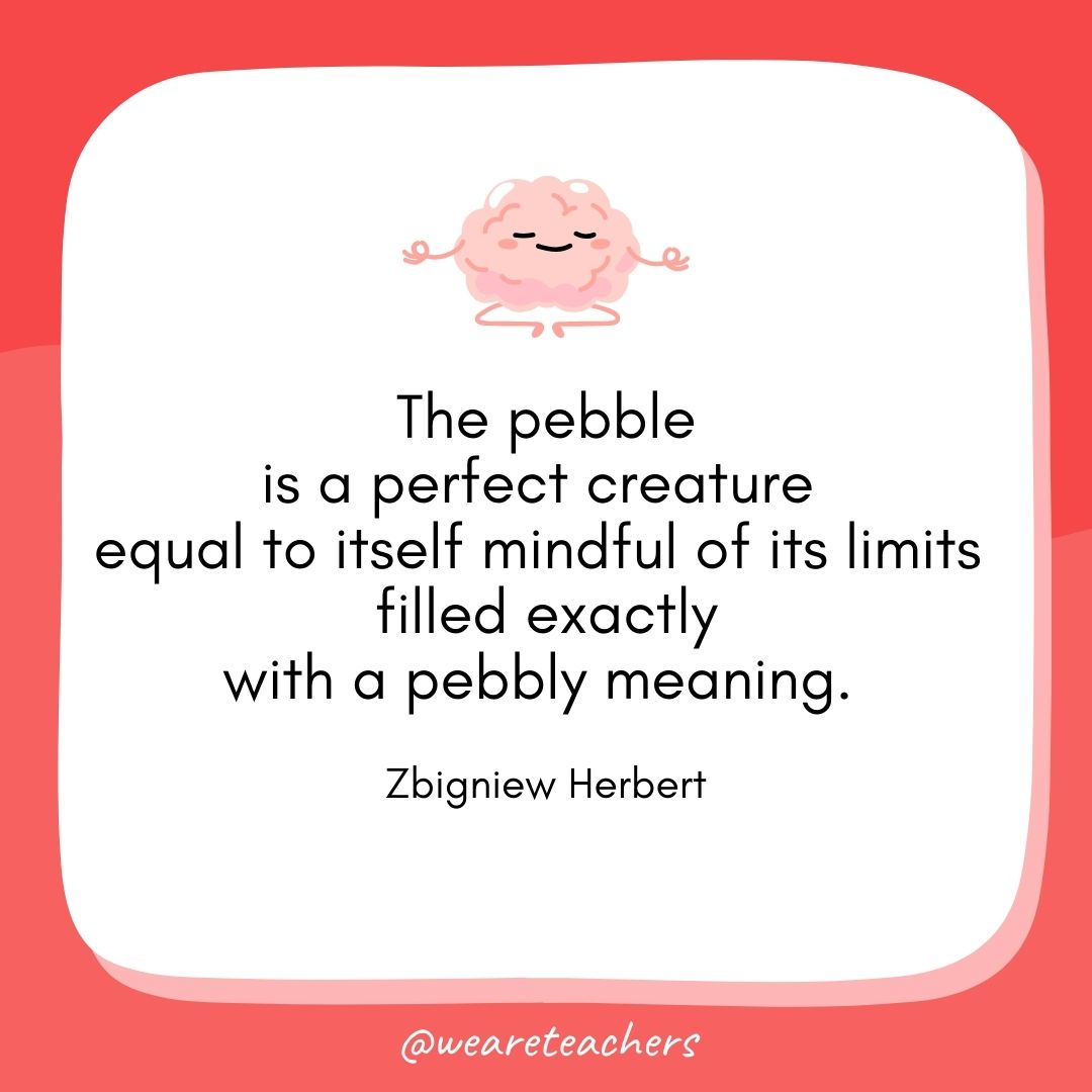 The pebble
is a perfect creature 
equal to itself mindful of its limits 
filled exactly
with a pebbly meaning. 