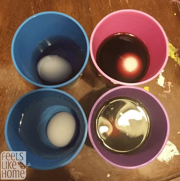 67 Easy Science Experiments for Kids Using Household Stuff