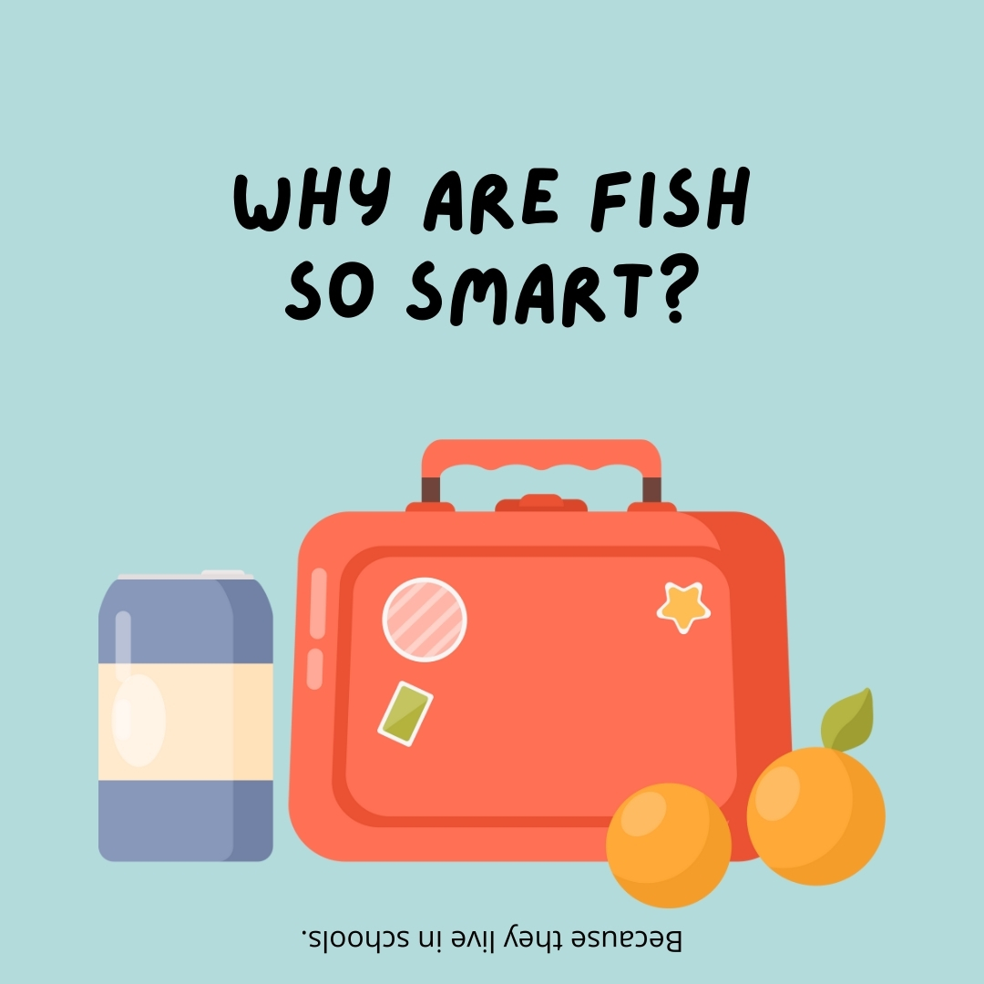 Why are fish so smart?

Because they live in schools.