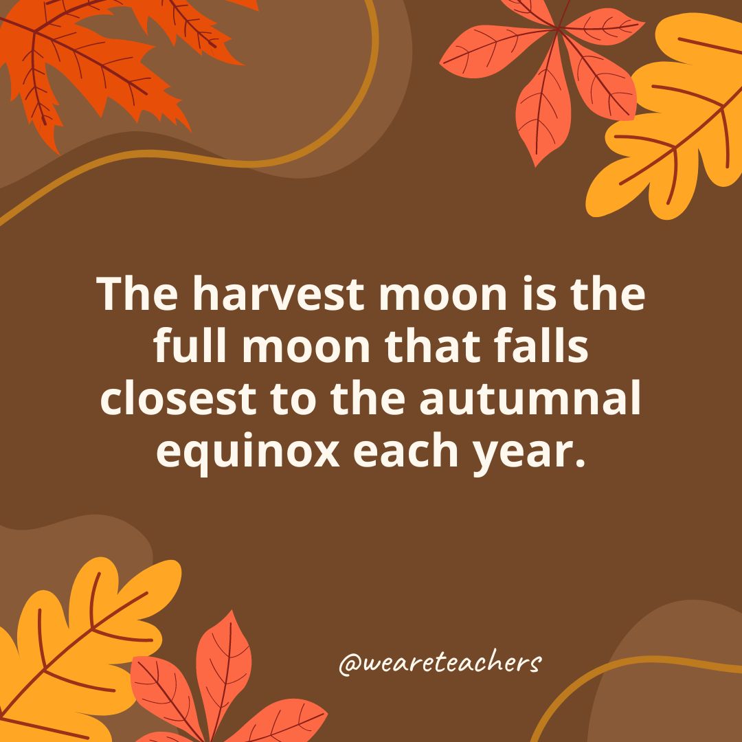 The harvest moon is the full moon that falls closest to the autumnal equinox each year.