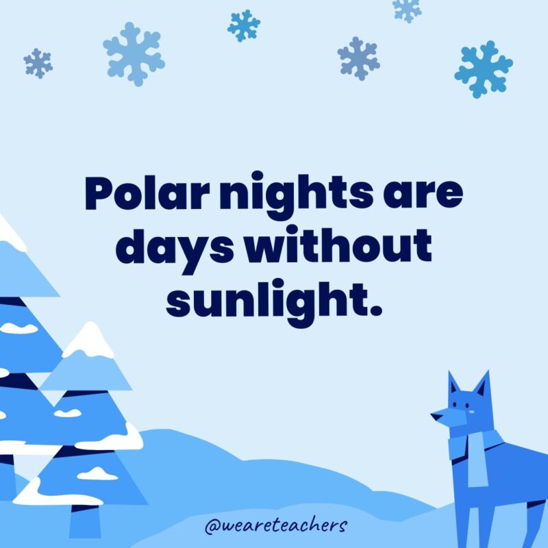 Polar nights are days without sunlight.