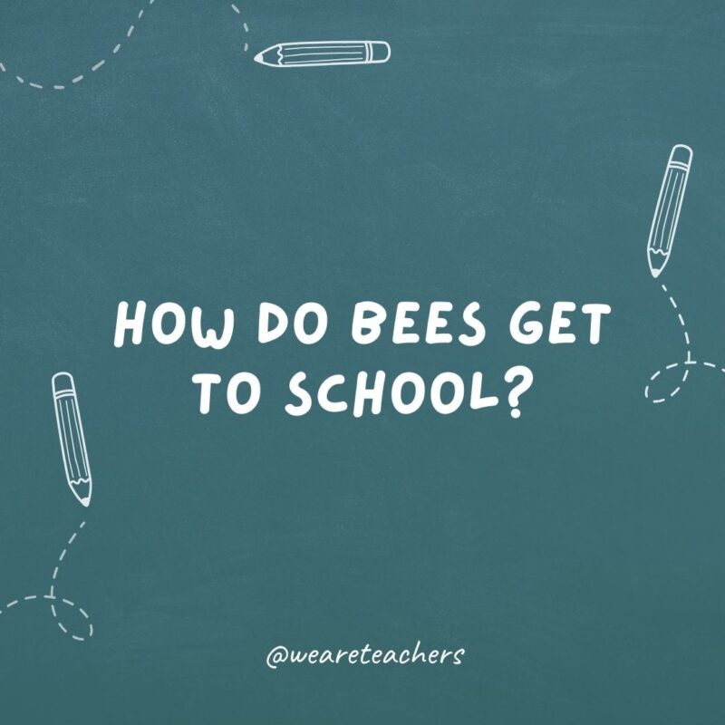 How do bees get to school? They ride the school buzz.- teacher jokes