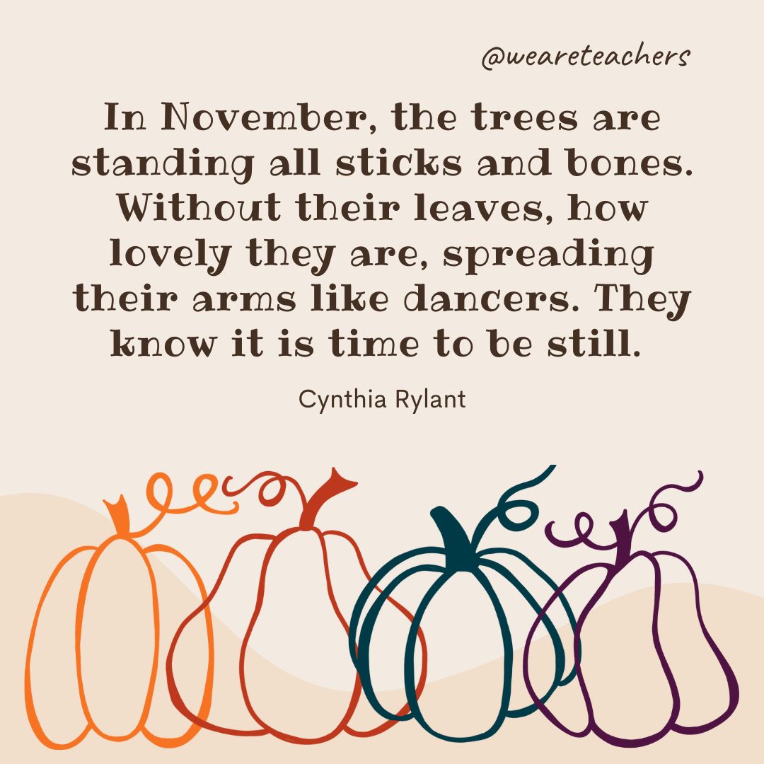 In November, the trees are standing all sticks and bones. Without their leaves, how lovely they are, spreading their arms like dancers. They know it is time to be still. 