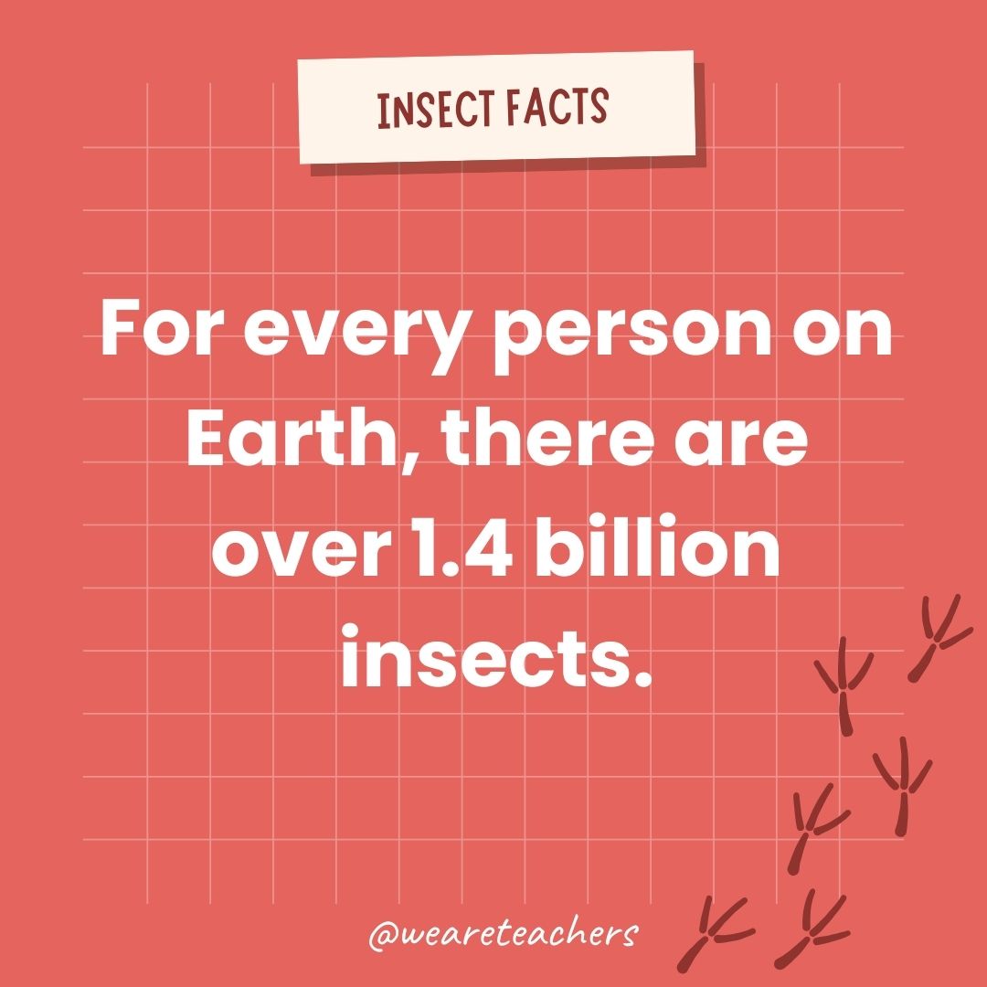 For every person on Earth, there are over 1.4 billion insects.- animal facts