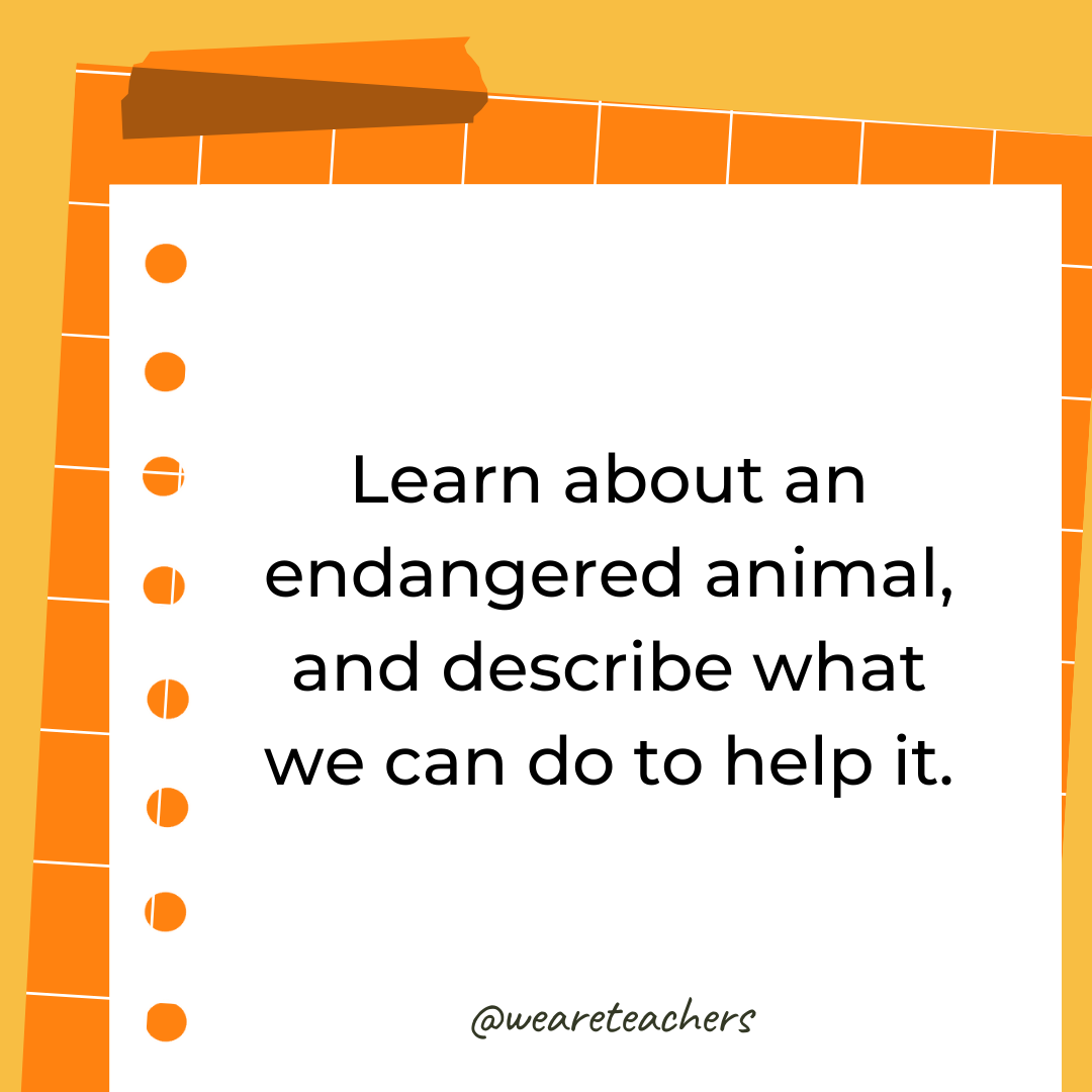 Learn about an endangered animal, and describe what we can do to help it.