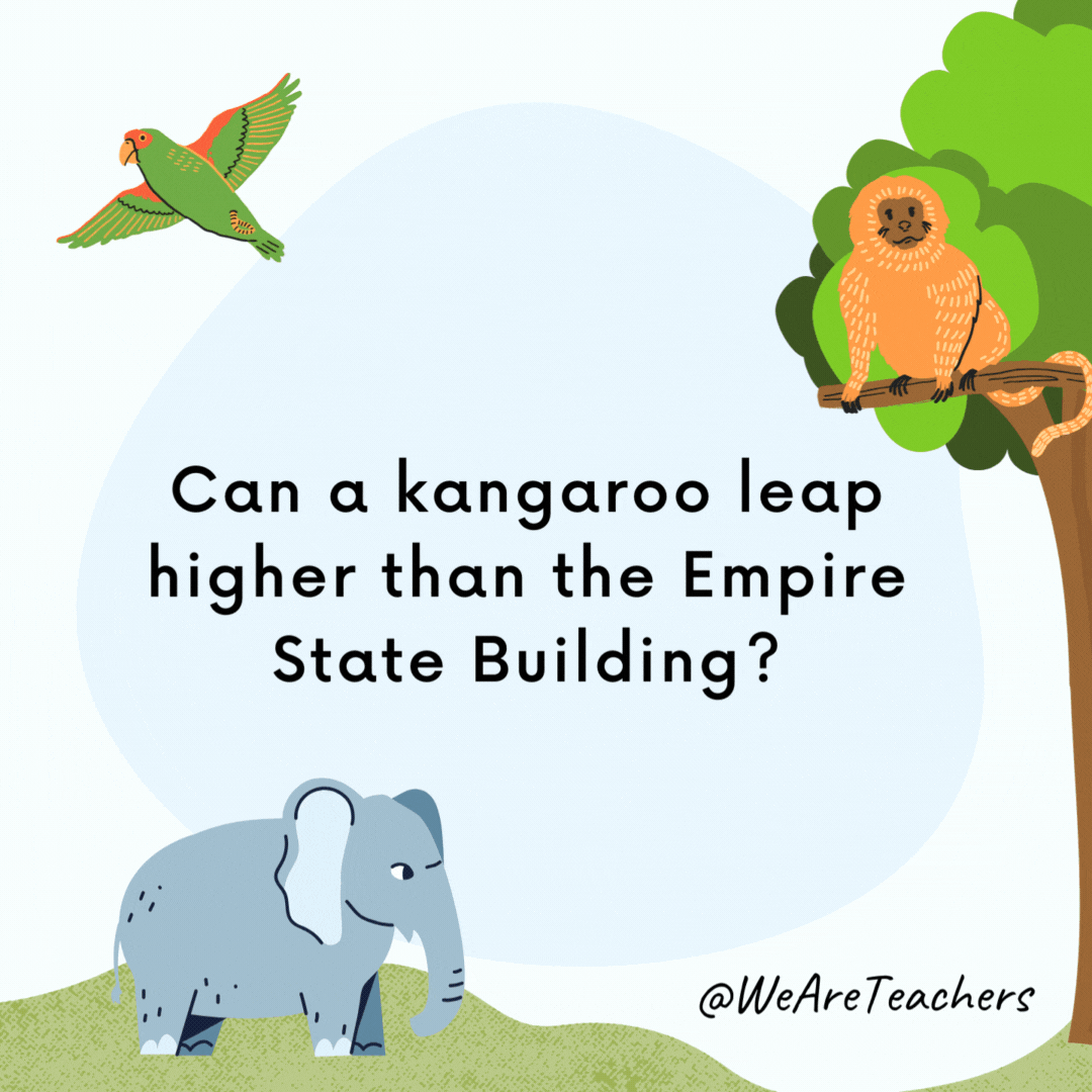 Can a kangaroo leap higher than the Empire State Building?

Yes, because buildings can't jump!
