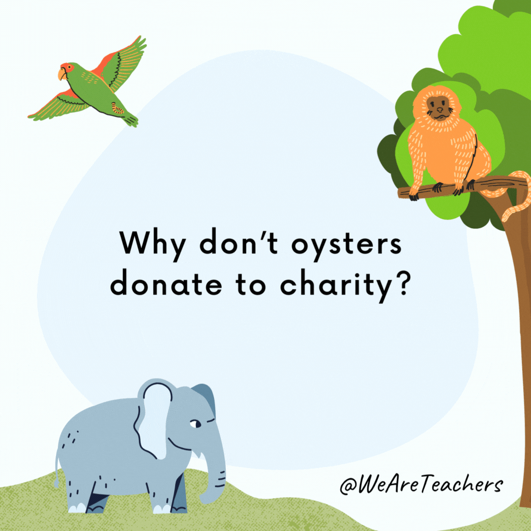 Why don't oysters donate to charity?

Because they are shellfish.- animal jokes