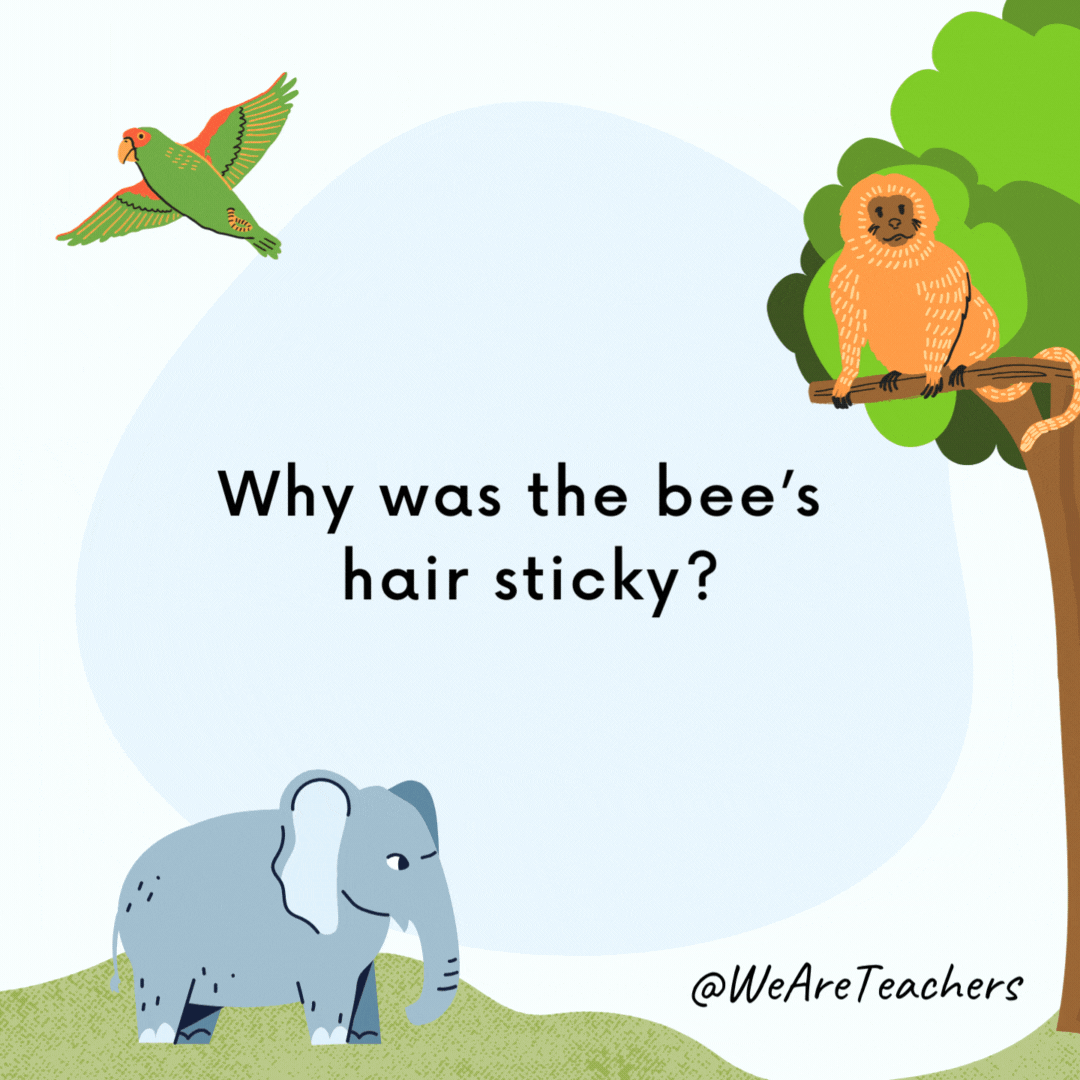Why was the bee’s hair sticky?

It used a honeycomb.