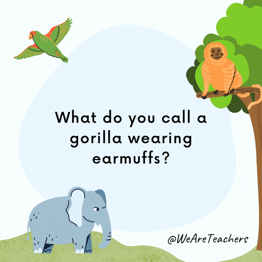 What do you call a gorilla wearing earmuffs?

Anything you like. He can't hear you anyway.- animal jokes