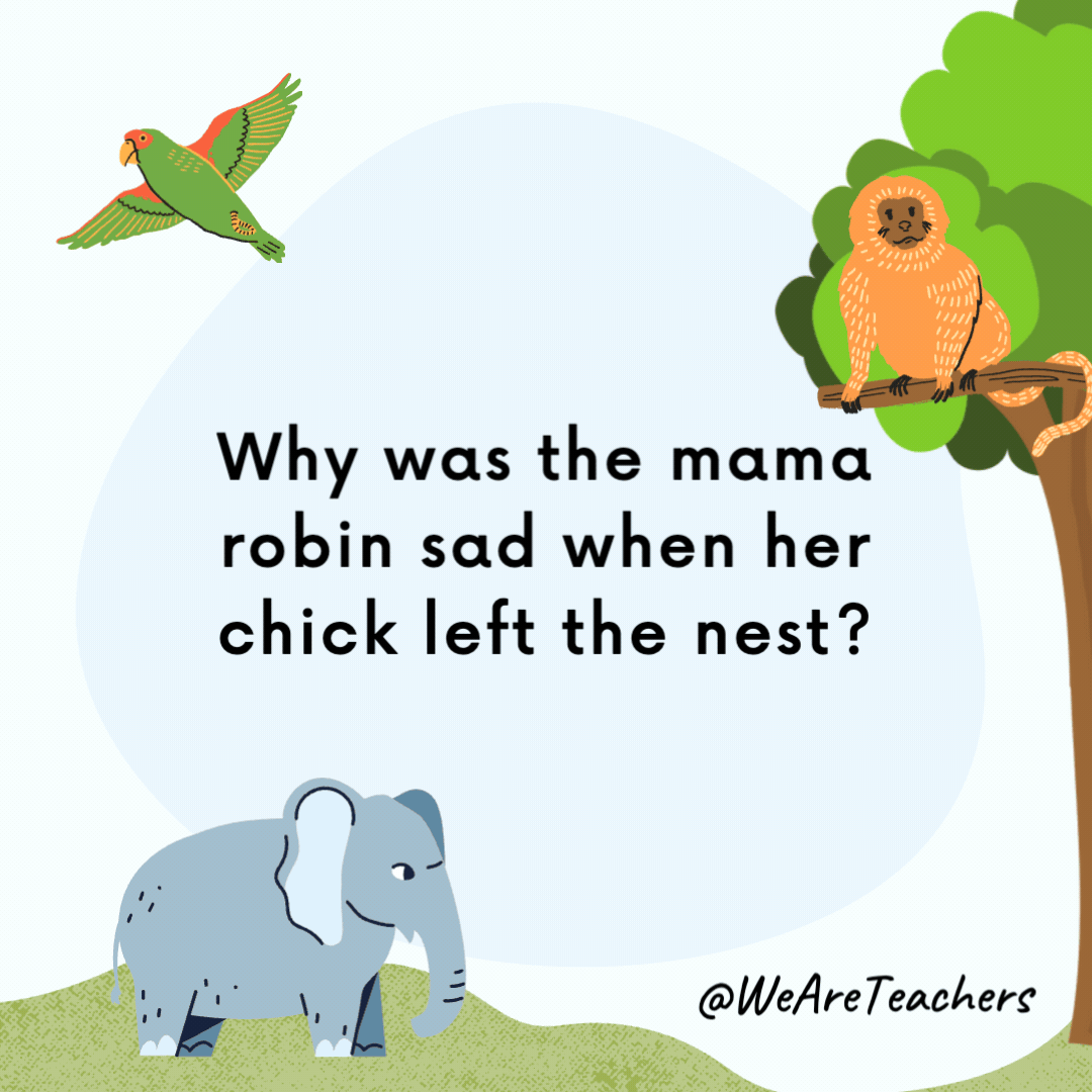 Why was the mama robin sad when her chick left the nest?

She had empty-nest syndrome.