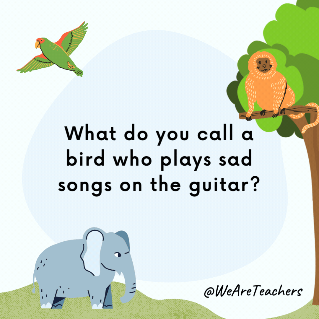 What do you call a bird who plays sad songs on the guitar?

A blues jay.- animal jokes