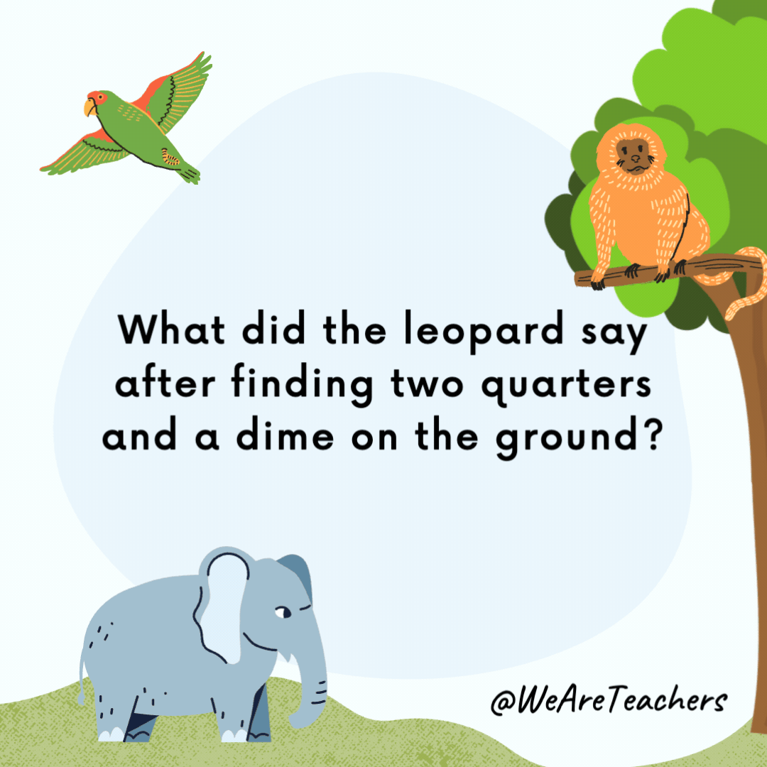 What did the leopard say after finding two quarters and a dime on the ground?

"And they say a leopard can't spot his change."