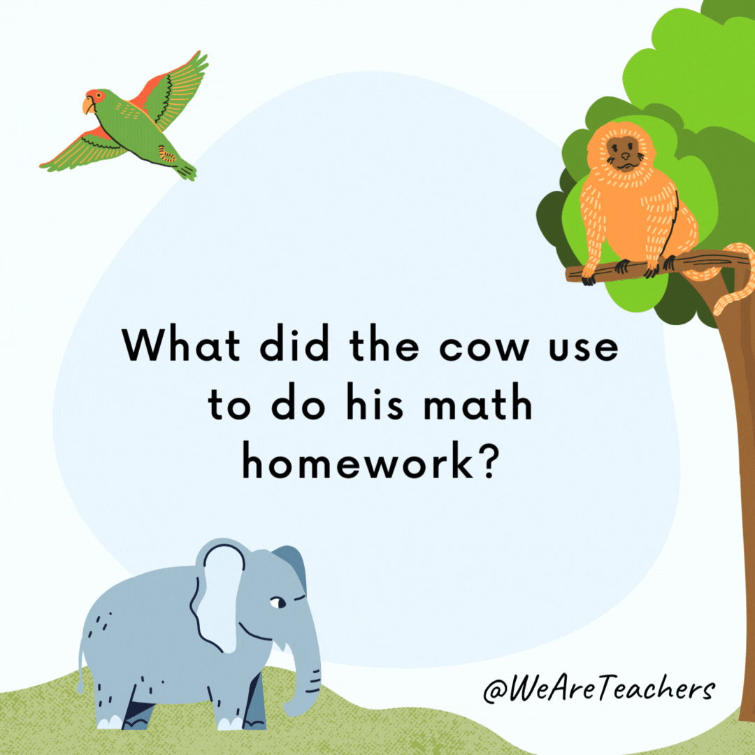 What did the cow use to do his math homework?

A cow-culator.- animal jokes