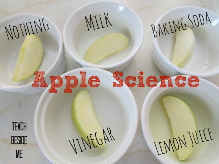 The Best Apple Science Activities for Grades PreK-2 - We Are Teachers