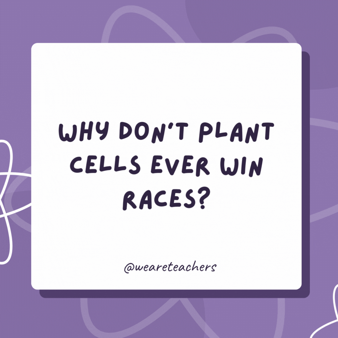 Why don't plant cells ever win races?

Because they're always rooted to the spot.