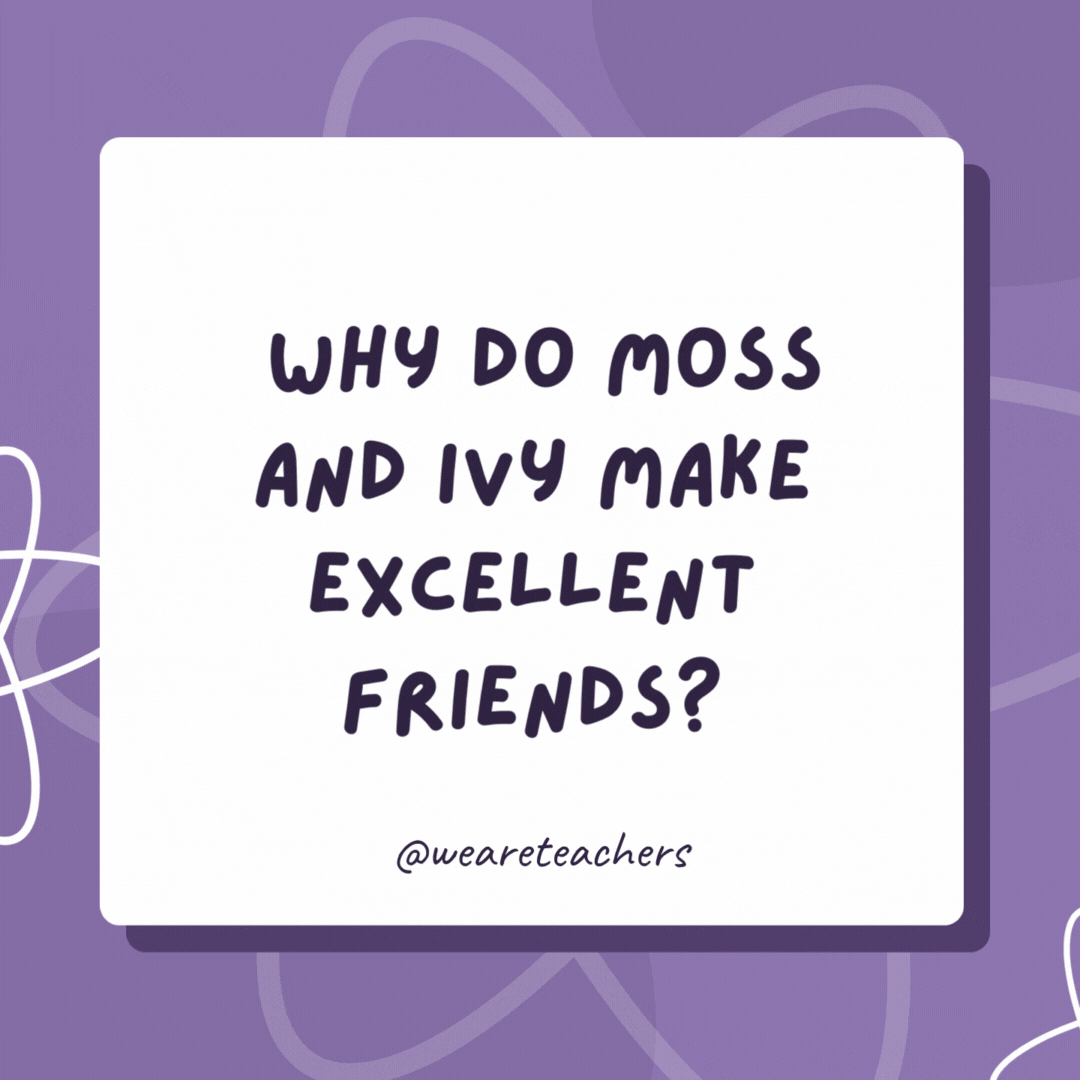 Why do Moss and Ivy make excellent friends?

 They really grow on you after a while.- biology jokes