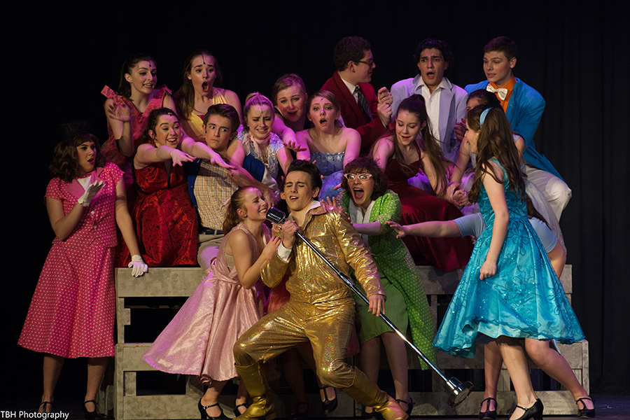 Bye Bye Birdie cast- musicals for high schools