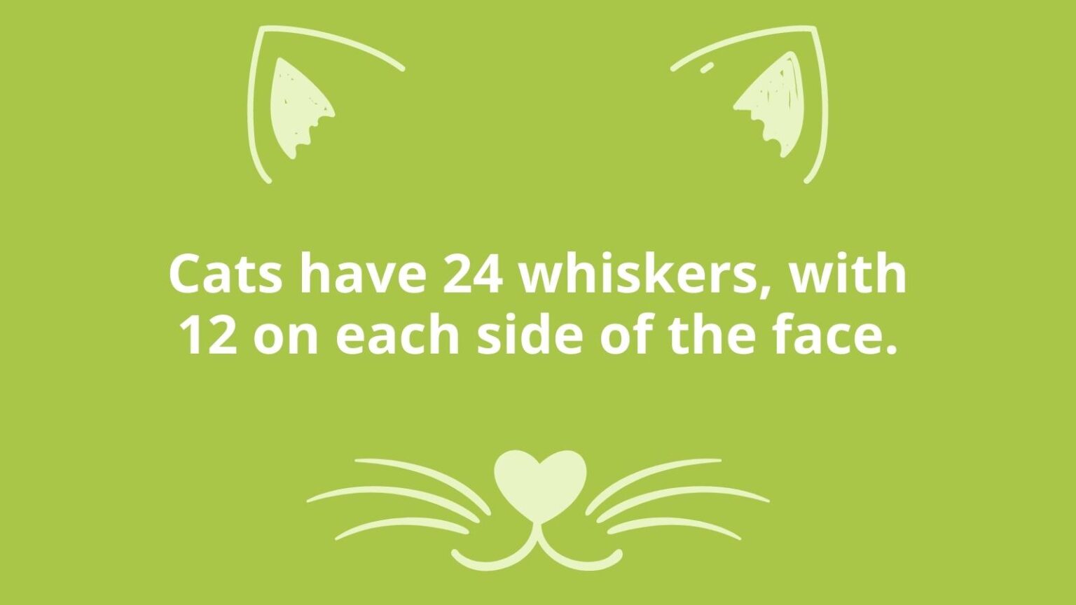 25 Cat Facts for Kids That Are Purrrfect for All Ages